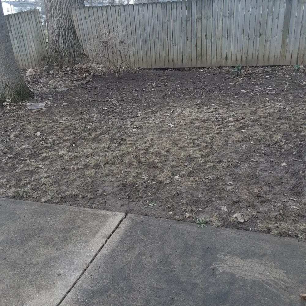 Custom yard maintenance near you in Columbus, OH by Southern Style Lawn Care