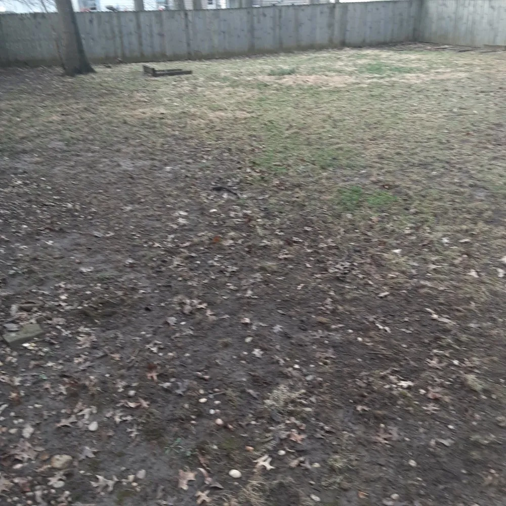 Expert landscape design for homes in Columbus, OH by Southern Style Lawn Care