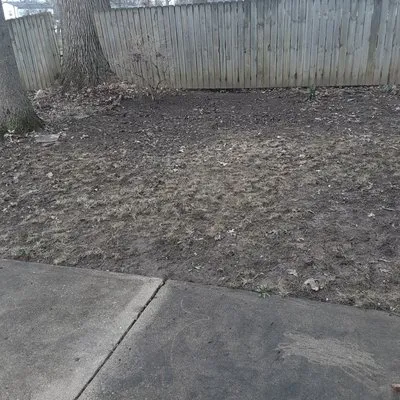 Southern Style Lawn Care Logo