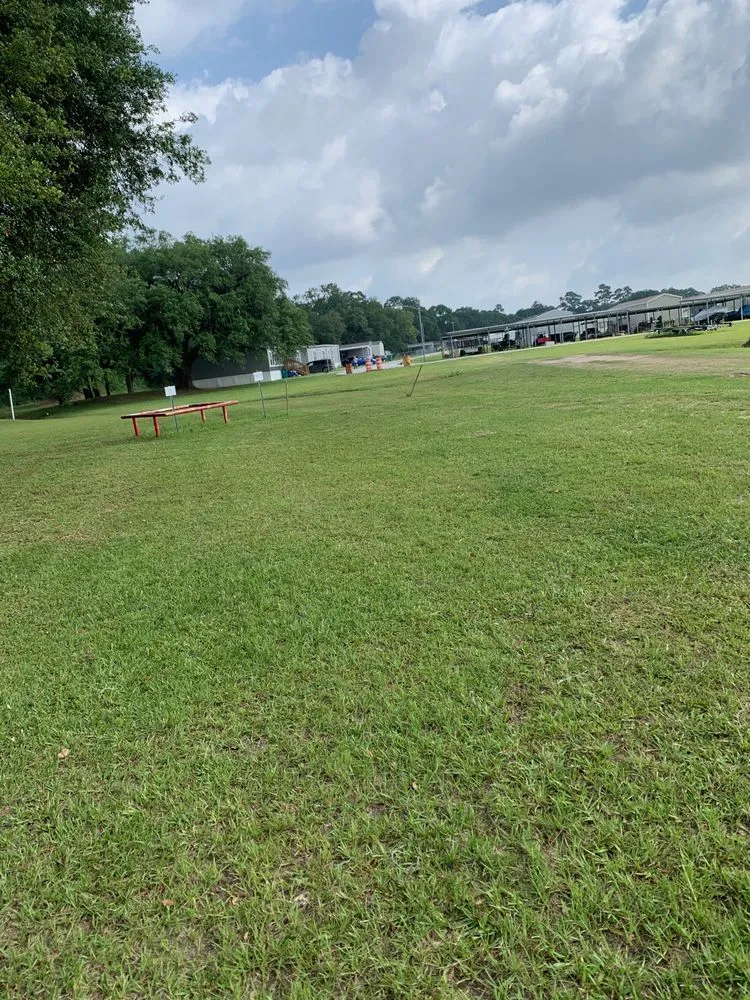 Expert yard cleanup service for beautiful yards in Sulphur, LA by Southern Style Lawn Services