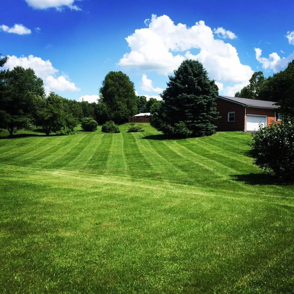 Local lawn mowing service for outdoor upgrades across Georgetown, KY - Southern Style Lawns