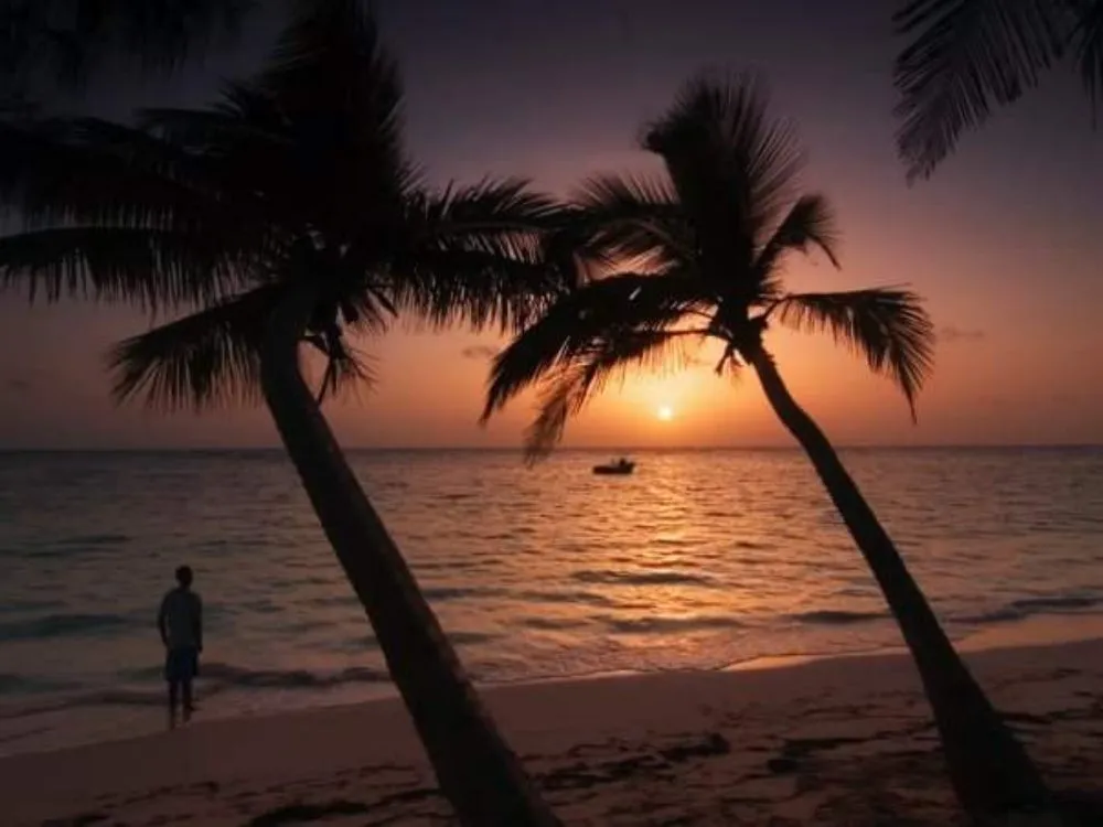 Trusted lawn mowing service experts serving Milton, FL - Southern Style Palm & Lawn