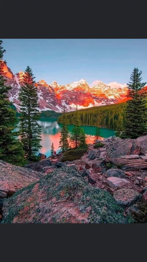 Trusted lawn mowing service for homes across Milton, FL - Southern Style Palm & Lawn Services