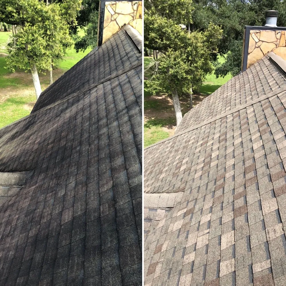 Professional lawn care service in Woodville, TX - Southern Suds Soft-Washing & Land Maintenance