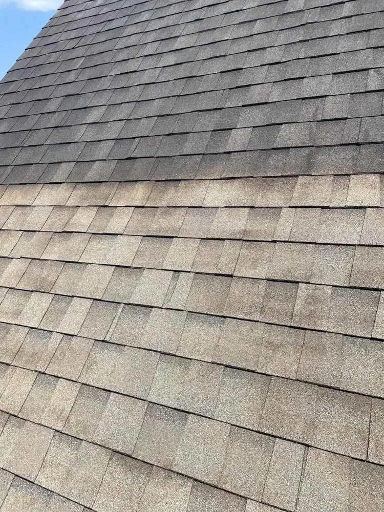 Professional garden landscaping in Woodville, TX - Southern Suds Soft-Washing & Land Maintenance