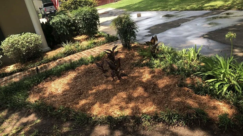 Expert outdoor landscaping for residential properties in Saint Martinville, LA by Southern Swamp Solutions