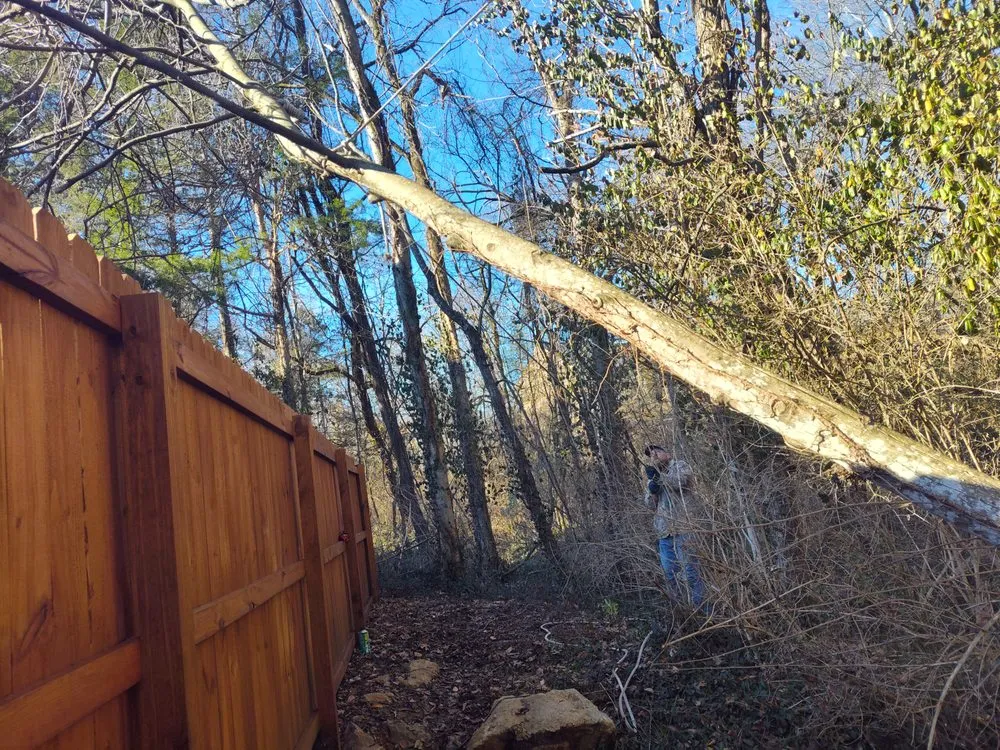 Expert residential landscaping for homes in Murfreesboro, TN by Southern Tennessee Landscape Maintenance