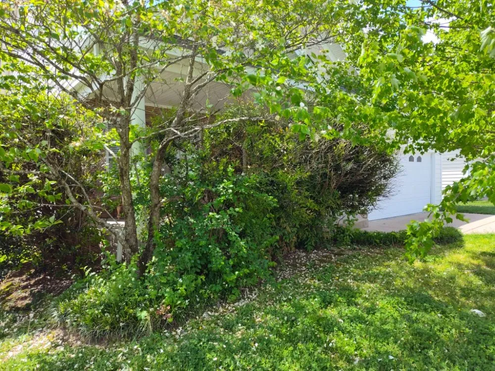 Expert garden landscaping near you in Murfreesboro, TN by Southern Tennessee Landscape Maintenance