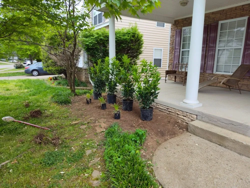 Professional yard cleanup service experts serving Murfreesboro, TN - Southern Tennessee Landscape Maintenance