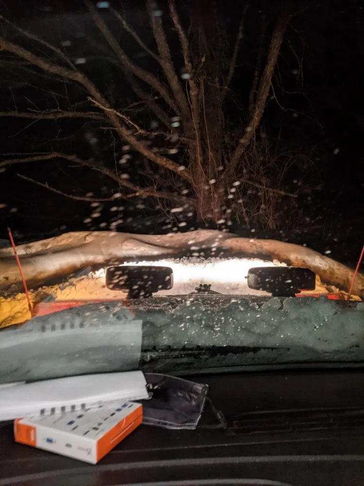 Top-rated landscape installation for outdoor upgrades in Bolivar, NY by Southern Tier Express Property Services