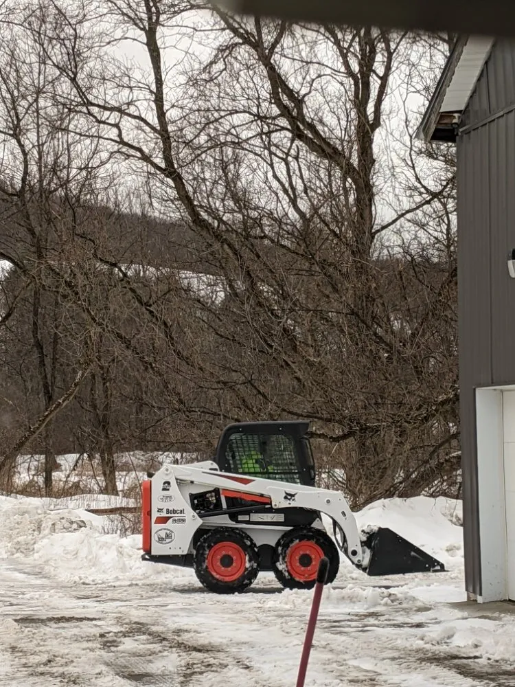 Affordable landscape design experts serving Bolivar, NY - Southern Tier Express Property Services