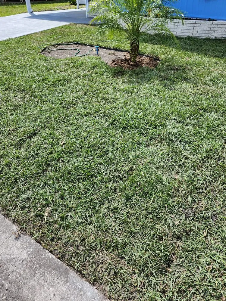 Trusted lawn care service in Bradenton, FL by Southern Touch 911 handyman Services