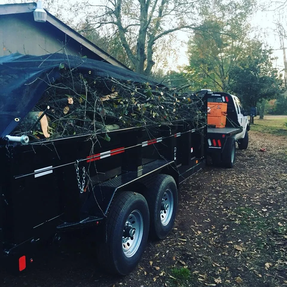 Expert outdoor landscaping for homes in Greenville, SC by Southern Touch Landscaping