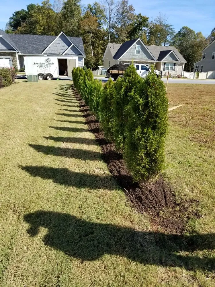 Trusted yard cleanup service in Greenville, SC by Southern Touch Landscaping