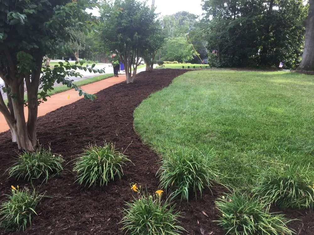 Expert lawn care service with custom design across Greenville, SC - Southern Touch Landscaping
