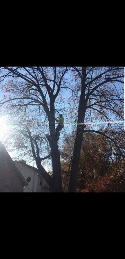 Professional landscape design experts serving Greenville, SC - Southern Touch Landscaping