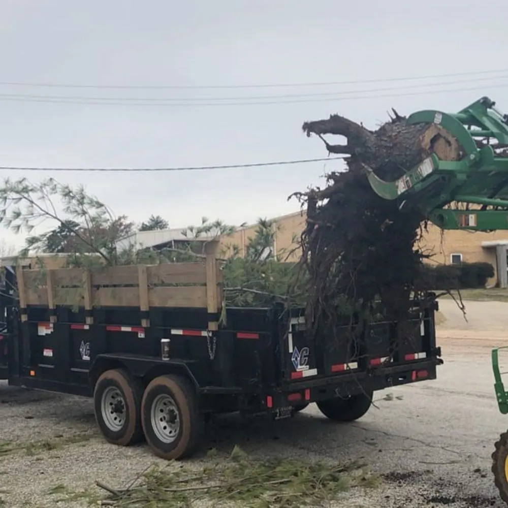 Reliable lawn care service in Greenville, SC - Southern Touch Landscaping