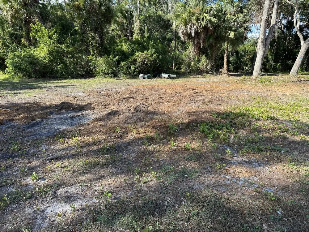 Professional landscape installation in Melbourne, FL by Southern Touch Landscaping