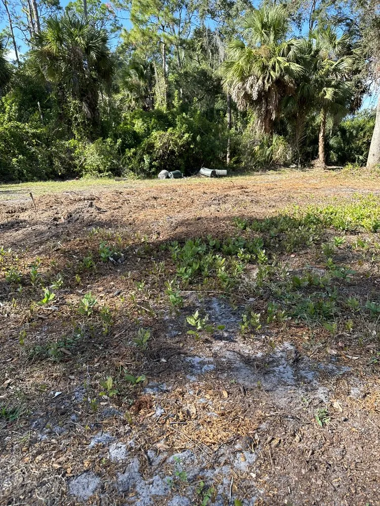 Professional garden landscaping near you across Melbourne, FL - Southern Touch Landscaping