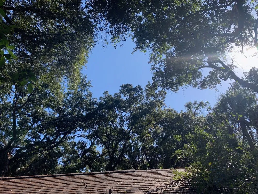 Custom residential landscaping with custom design in Melbourne, FL by Southern Touch Landscaping