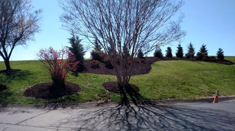 Expert residential landscaping in Appomattox, VA - Southern Touch Lawn and Landscaping