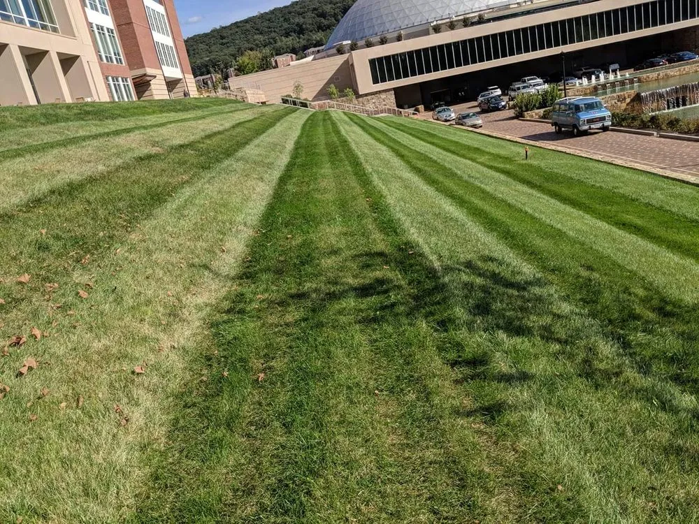 Reliable landscaping services for homes across Appomattox, VA - Southern Touch Lawn and Landscaping