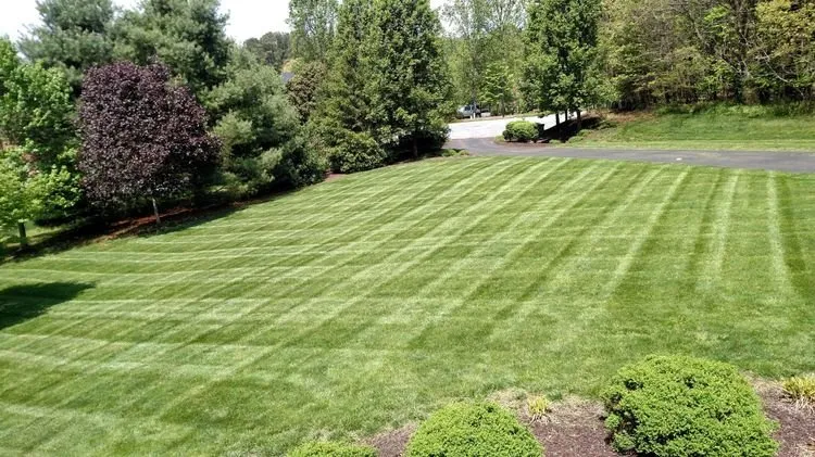 Reliable lawn care service in Appomattox, VA - Southern Touch Lawn and Landscaping