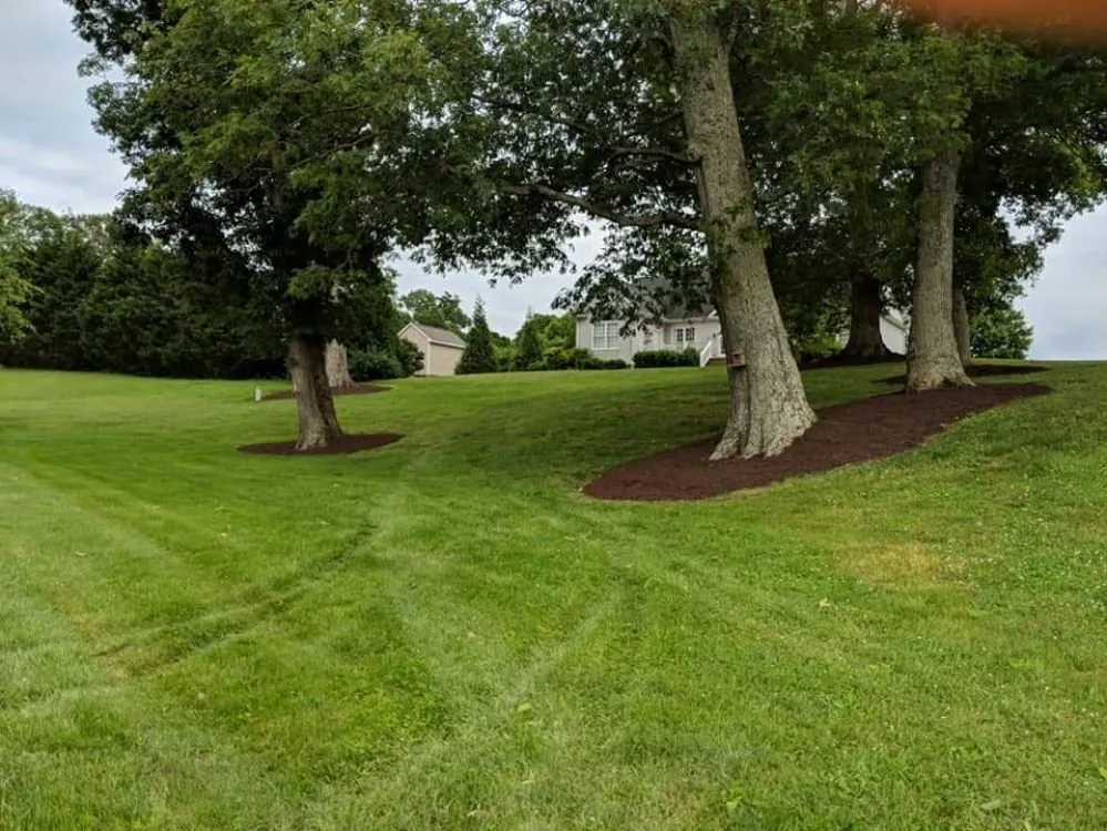 Expert outdoor landscaping for beautiful yards across Appomattox, VA - Southern Touch Lawn and Landscaping