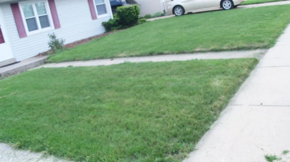 Top-rated landscaping services experts serving Hammond, IN - Southern Touch Lawn Care