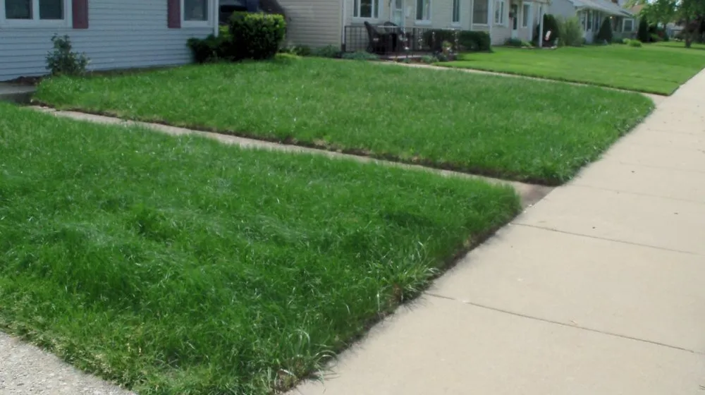 Top-rated garden landscaping experts serving Hammond, IN - Southern Touch Lawn Care