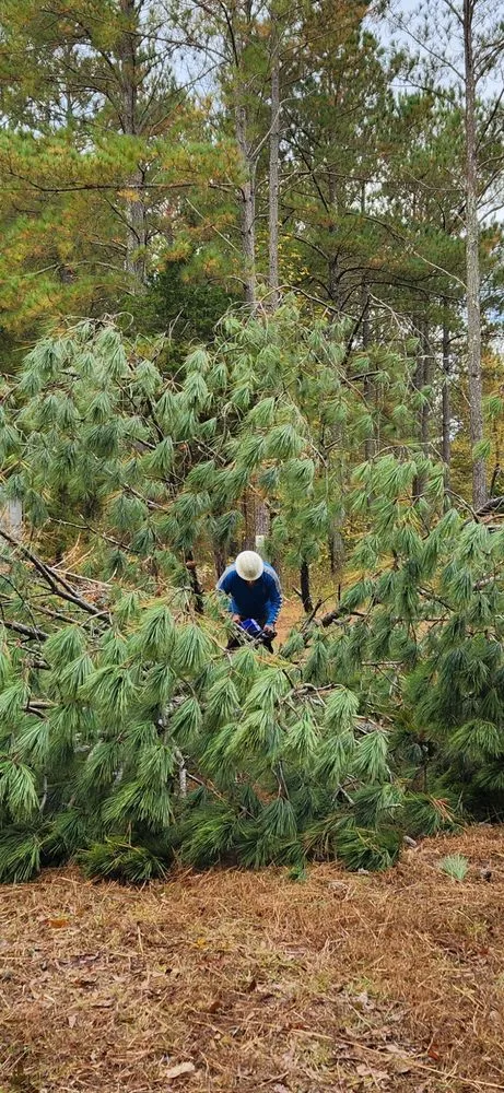 Professional lawn mowing service experts serving Cedartown, GA - Southern Tree Enterprise