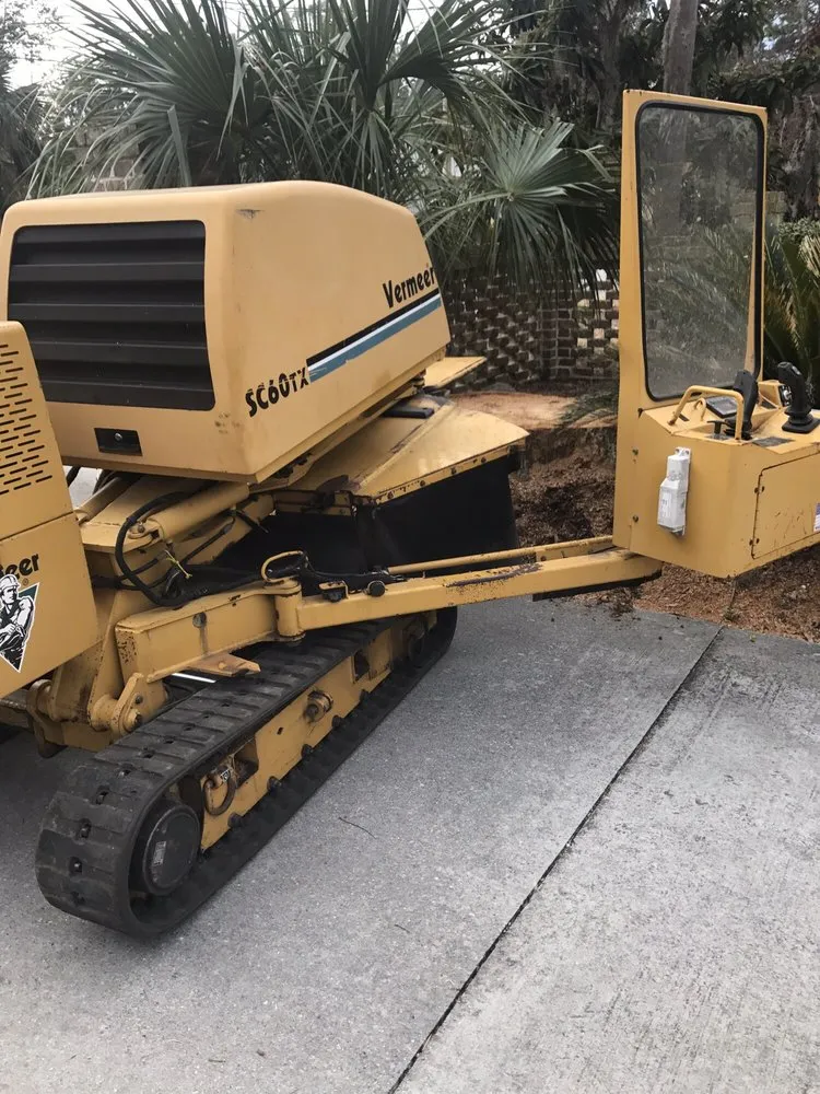 Local landscape installation in Savannah, GA - Southern Tree Experts