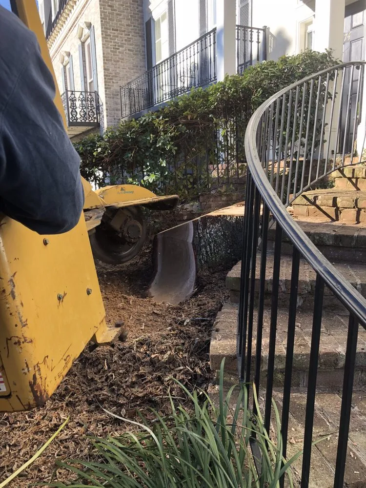 Reliable garden landscaping experts serving Savannah, GA - Southern Tree Experts