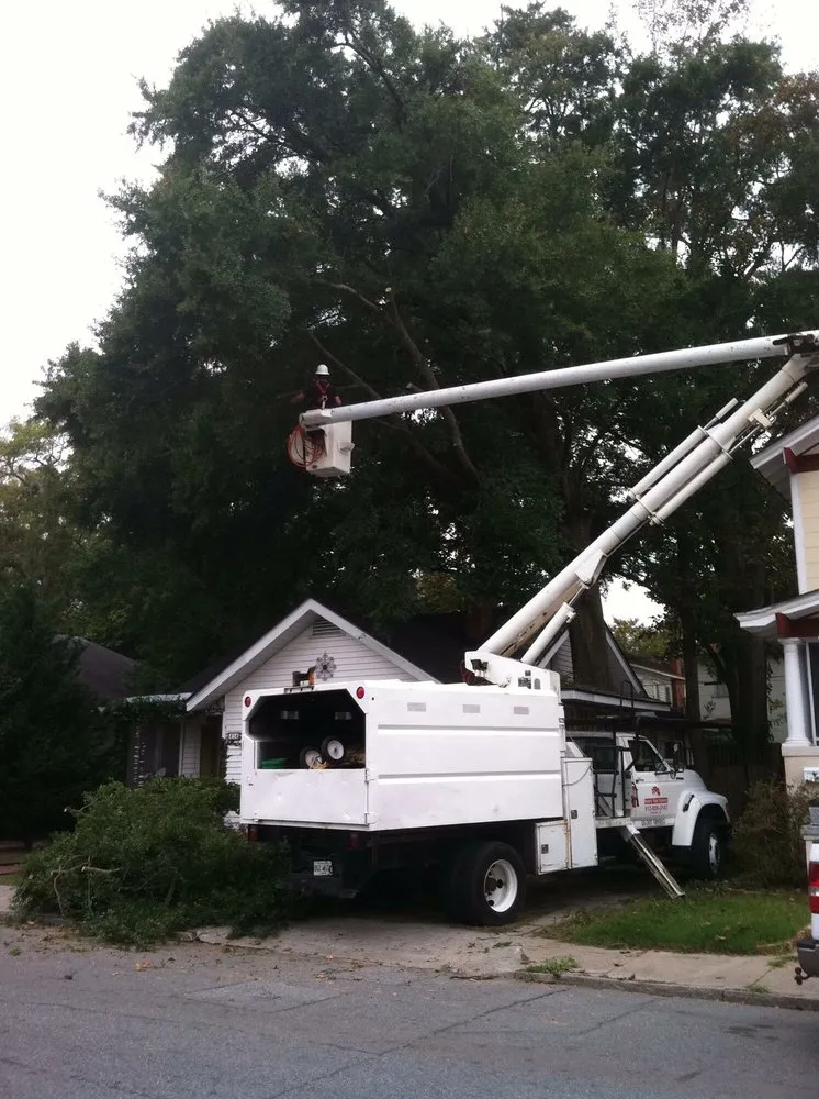 Affordable residential landscaping in Savannah, GA - Southern Tree Experts