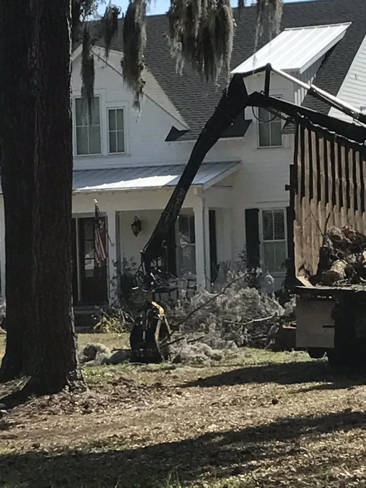 Affordable yard maintenance experts serving Savannah, GA - Southern Tree Experts