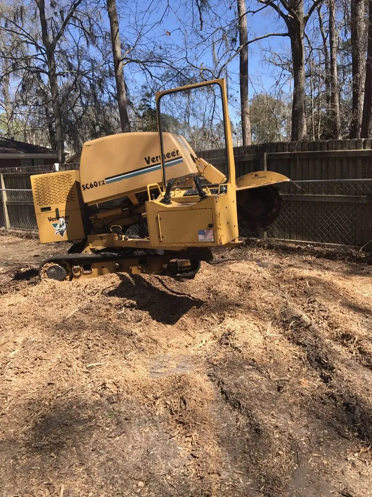 Professional residential landscaping for residential properties across Savannah, GA - Southern Tree Experts