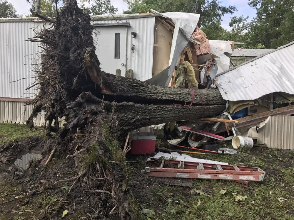 Expert lawn mowing service in Savannah, GA - Southern Tree Experts