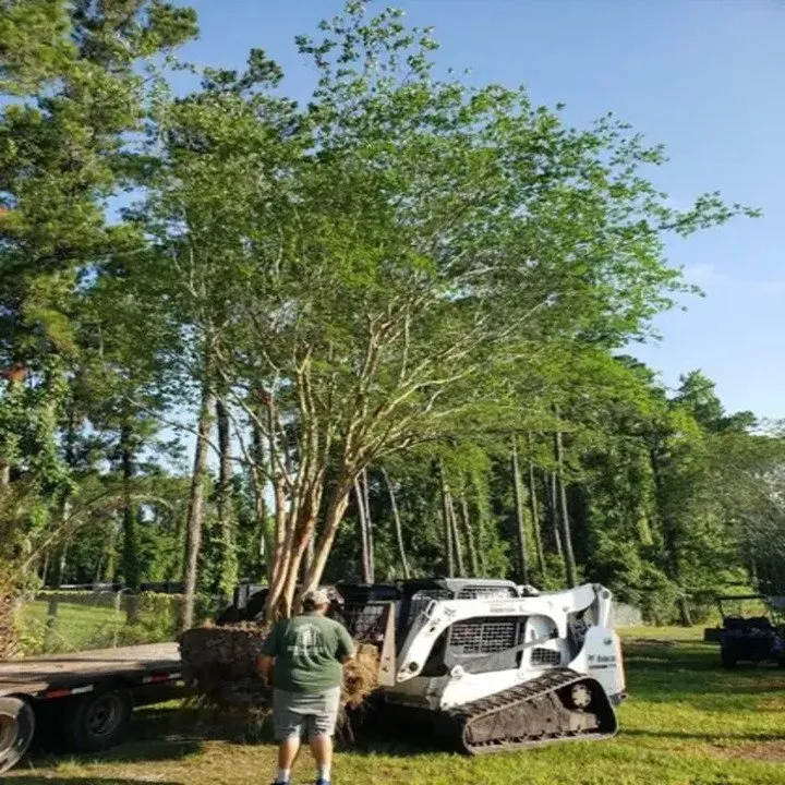 Reliable lawn care service in Jacksonville, FL by Southern Tree Farm