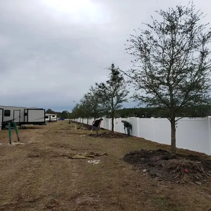 Local landscaping services in Jacksonville, FL by Southern Tree Farm