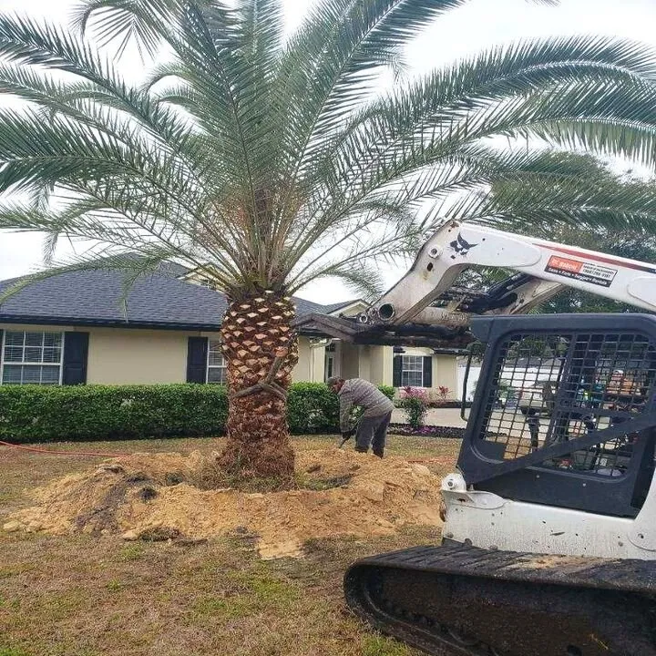 Top-rated landscape installation near you in Jacksonville, FL by Southern Tree Farm