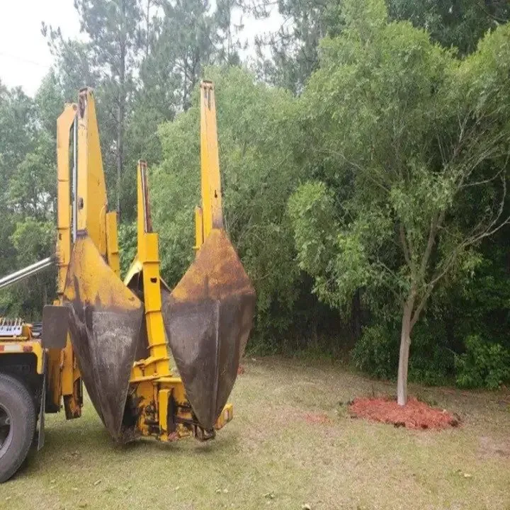 Local landscape installation experts serving Jacksonville, FL - Southern Tree Farm