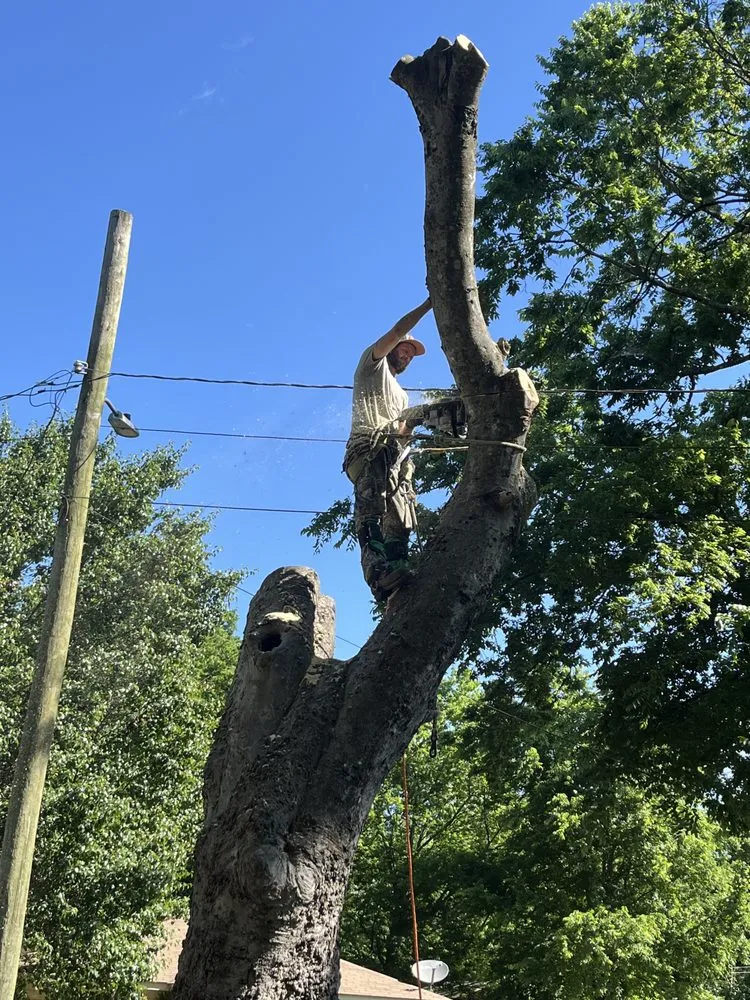 Affordable lawn mowing service for outdoor upgrades across Idabel, OK - Southern Tree Service