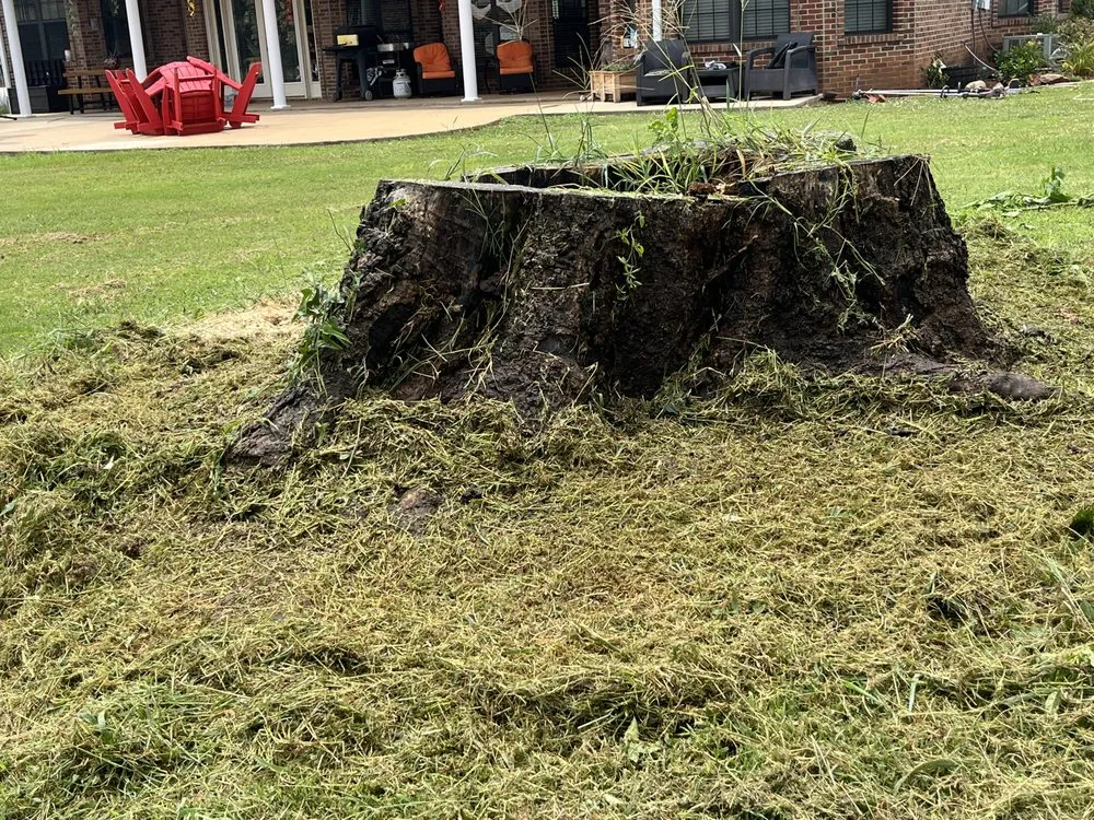 Professional landscape design in Idabel, OK - Southern Tree Service