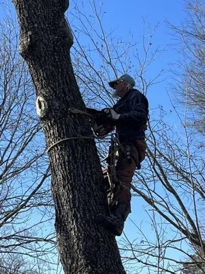 Southern Tree Service