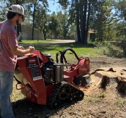 Southern Tree Stump Grinding Logo