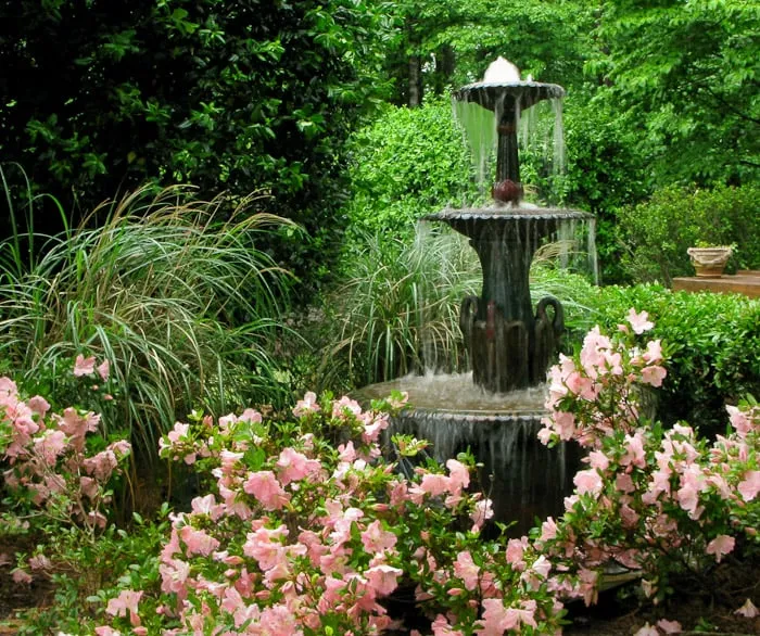 Expert landscaping services for year-round maintenance in Stone Mountain, GA by Southern Trillium Landscape Design and Installation