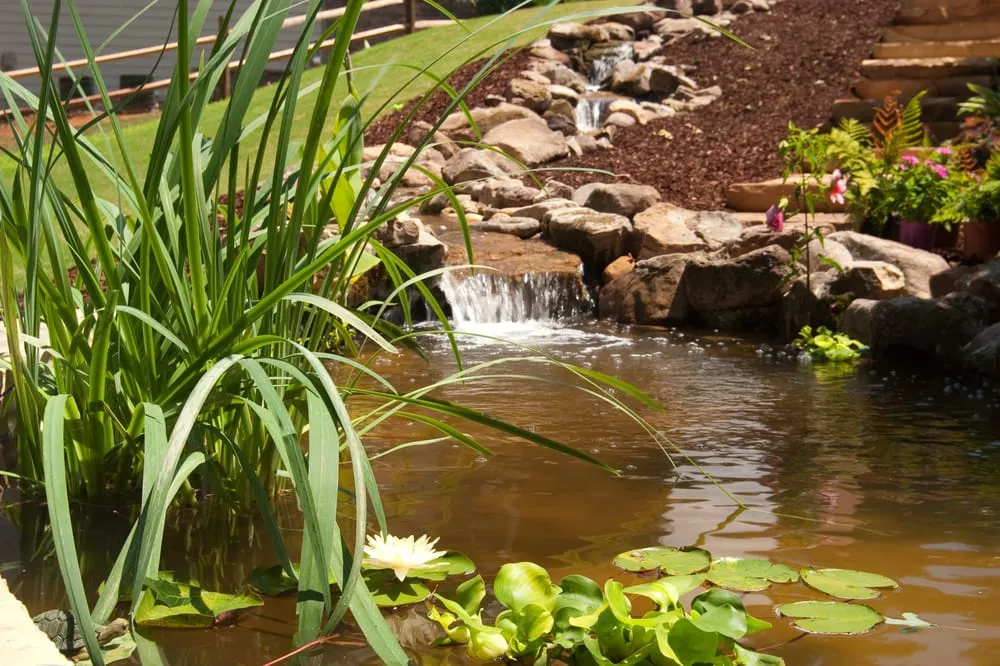 Local garden landscaping experts serving Stone Mountain, GA - Southern Trillium Landscape Design and Installation