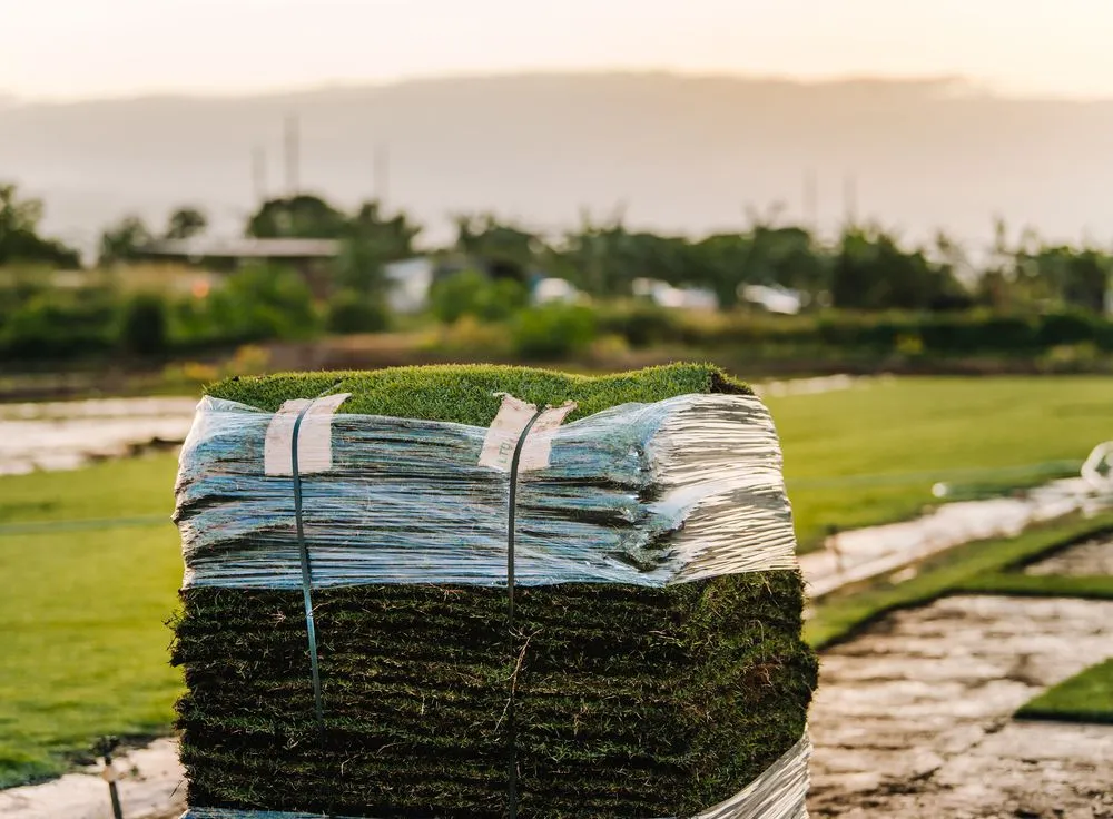 Top-rated landscape installation for year-round maintenance in Mililani, HI by Southern Turf Hawaii