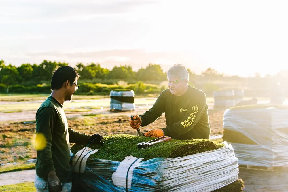 Professional lawn care service with custom design in Mililani, HI by Southern Turf Hawaii