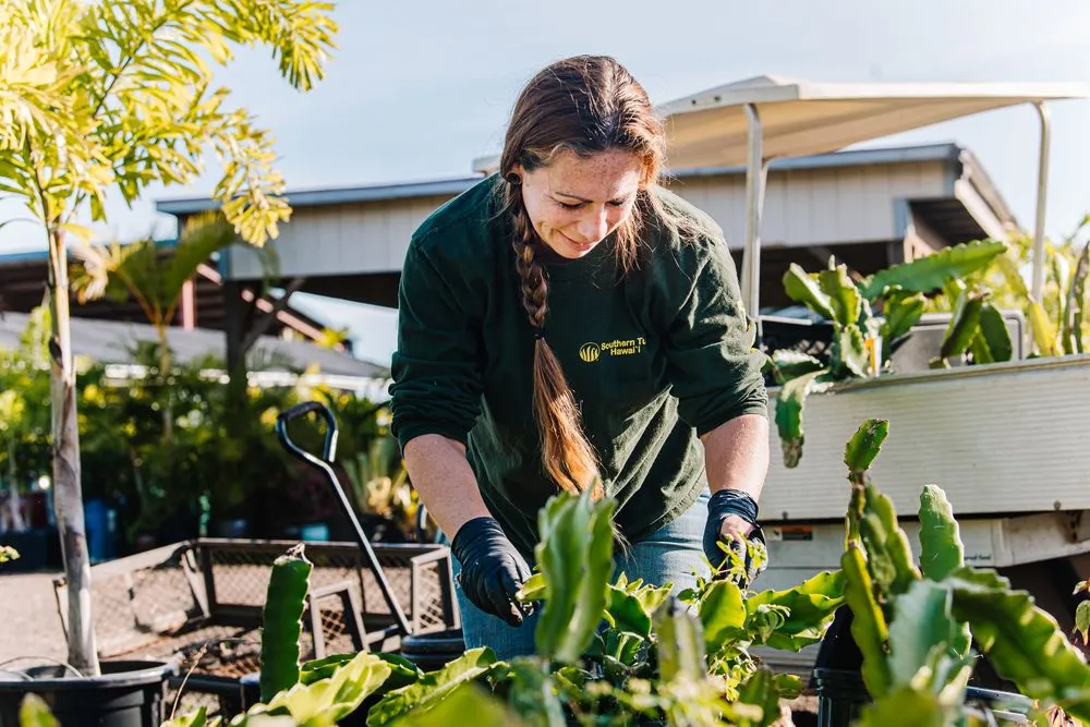 Trusted outdoor landscaping in Mililani, HI by Southern Turf Hawaii